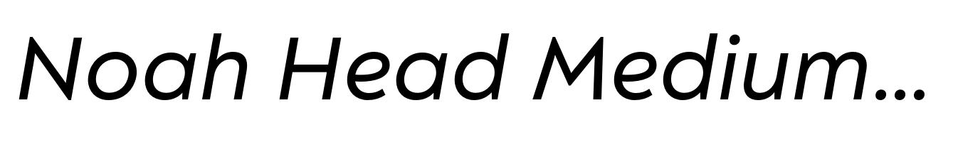 Noah Head Medium Italic
